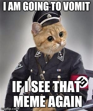 grammar nazi cat | I AM GOING TO VOMIT IF I SEE THAT MEME AGAIN | image tagged in grammar nazi cat | made w/ Imgflip meme maker