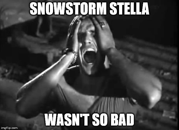 Marlon Brando Stella | SNOWSTORM STELLA; WASN'T SO BAD | image tagged in marlon brando stella | made w/ Imgflip meme maker