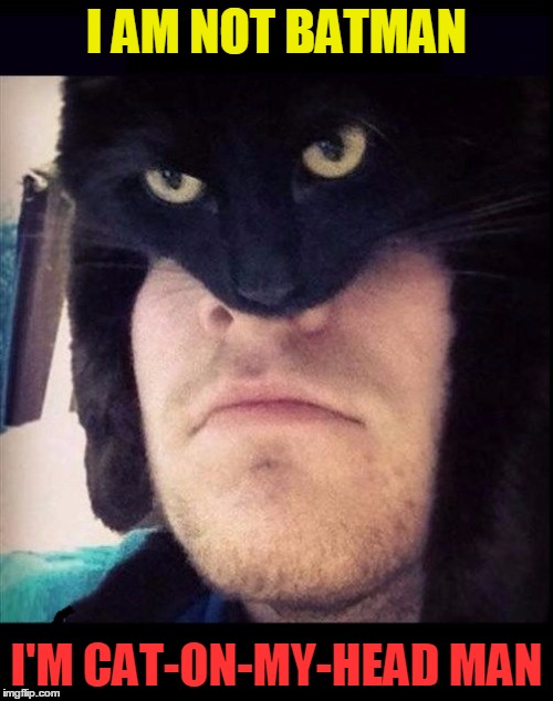 Super Hero Power is... | I AM NOT BATMAN; I'M CAT-ON-MY-HEAD MAN | image tagged in vince vance,funny cat memes,cat memes,cat on my man's head,batman | made w/ Imgflip meme maker