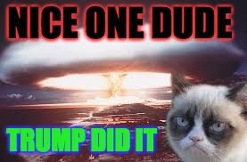 nuke | NICE ONE DUDE; TRUMP DID IT | image tagged in nuke | made w/ Imgflip meme maker