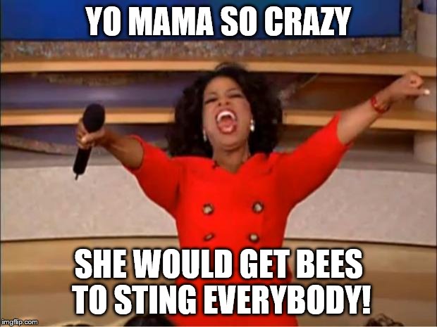 Oprah You Get A Meme | YO MAMA SO CRAZY; SHE WOULD GET BEES TO STING EVERYBODY! | image tagged in memes,oprah you get a | made w/ Imgflip meme maker