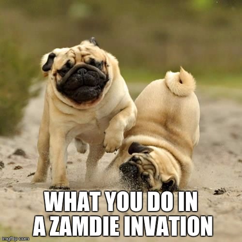 RUN! pugs | WHAT YOU DO IN A ZAMDIE INVATION | image tagged in run pugs | made w/ Imgflip meme maker