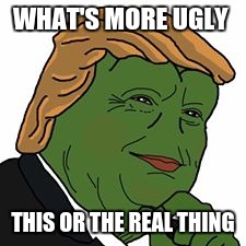 Pepe Trump | WHAT'S MORE UGLY; THIS OR THE REAL THING | image tagged in pepe trump | made w/ Imgflip meme maker