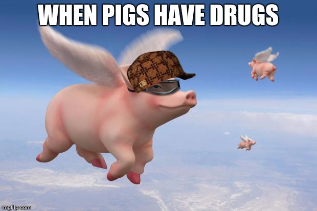 flying pigs | WHEN PIGS HAVE DRUGS | image tagged in flying pigs,scumbag | made w/ Imgflip meme maker