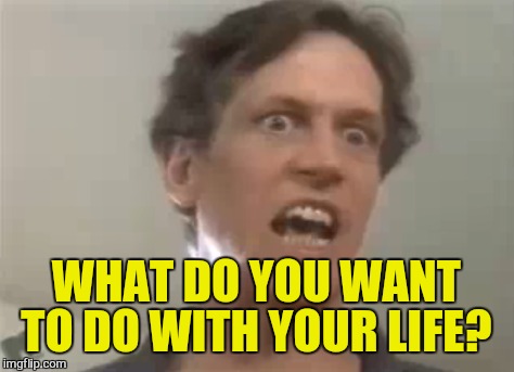 WHAT DO YOU WANT TO DO WITH YOUR LIFE? | made w/ Imgflip meme maker