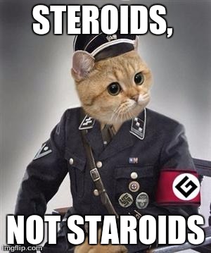 grammar nazi cat | STEROIDS, NOT STAROIDS | image tagged in grammar nazi cat | made w/ Imgflip meme maker