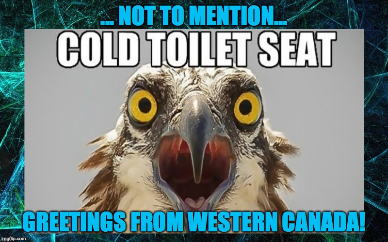 ... NOT TO MENTION... GREETINGS FROM WESTERN CANADA! | made w/ Imgflip meme maker