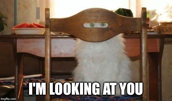 I'M LOOKING AT YOU | made w/ Imgflip meme maker