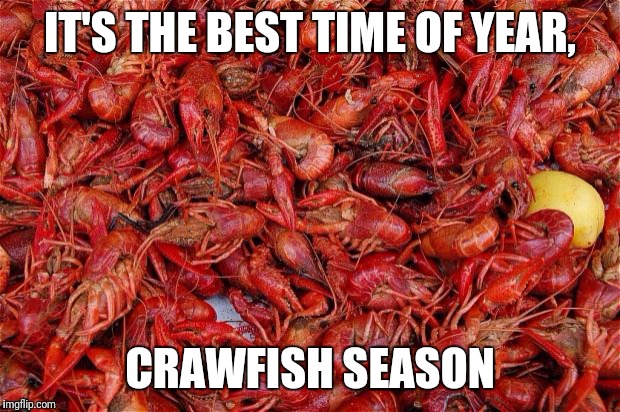 Crawfish | IT'S THE BEST TIME OF YEAR, CRAWFISH SEASON | image tagged in crawfish | made w/ Imgflip meme maker