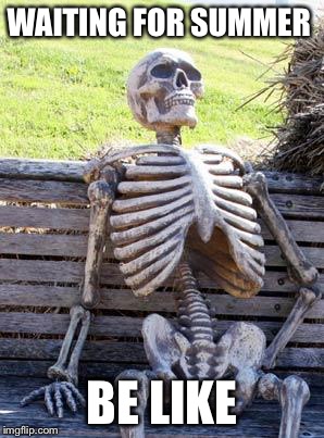 Waiting Skeleton | WAITING FOR SUMMER; BE LIKE | image tagged in memes | made w/ Imgflip meme maker