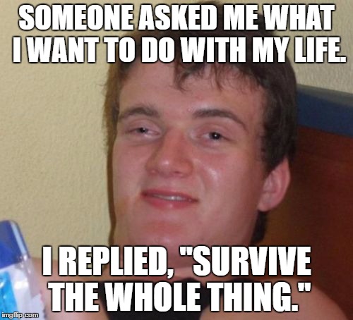 I should make a plaque of this. | SOMEONE ASKED ME WHAT I WANT TO DO WITH MY LIFE. I REPLIED, "SURVIVE THE WHOLE THING." | image tagged in memes,10 guy | made w/ Imgflip meme maker