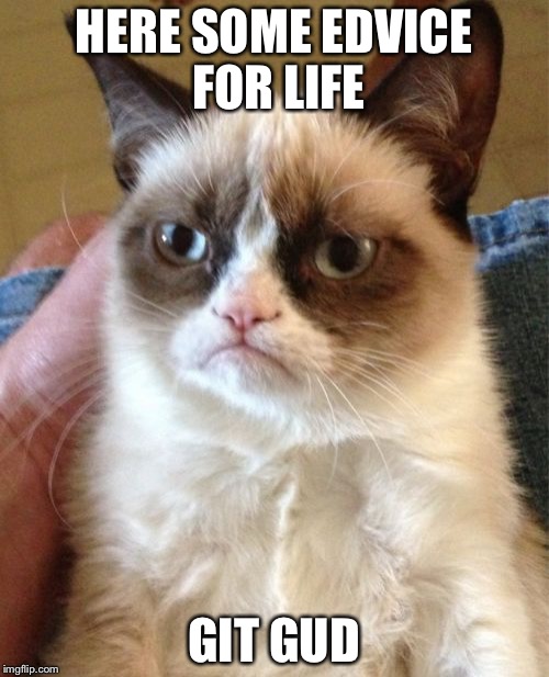 Grumpy Cat Meme | HERE SOME EDVICE FOR LIFE; GIT GUD | image tagged in memes,grumpy cat | made w/ Imgflip meme maker