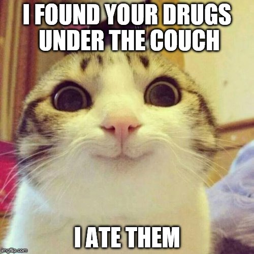 Smiling Cat Meme | I FOUND YOUR DRUGS UNDER THE COUCH; I ATE THEM | image tagged in memes,smiling cat | made w/ Imgflip meme maker