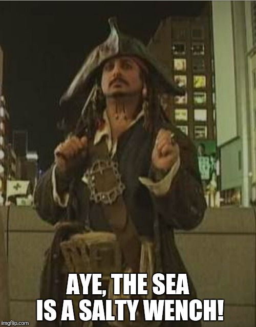AYE, THE SEA IS A SALTY WENCH! | made w/ Imgflip meme maker