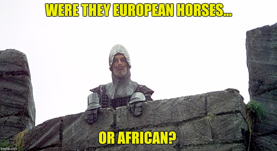 WERE THEY EUROPEAN HORSES... OR AFRICAN? | made w/ Imgflip meme maker