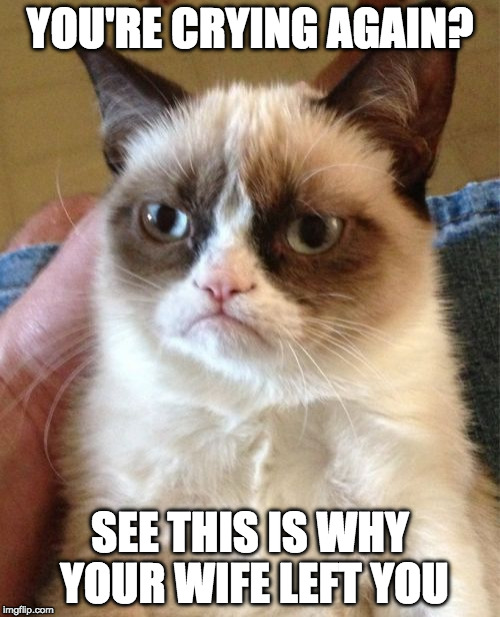 why you're single | YOU'RE CRYING AGAIN? SEE THIS IS WHY YOUR WIFE LEFT YOU | image tagged in memes,grumpy cat | made w/ Imgflip meme maker