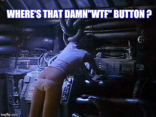 Ripley's butt | WHERE'S THAT DAMN"WTF" BUTTON ? | image tagged in ripley's butt | made w/ Imgflip meme maker