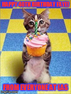 Happy Birthday Cat Meme Generator Imgflip