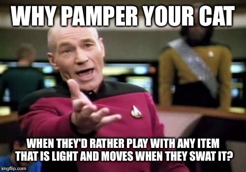 Picard Wtf Meme | WHY PAMPER YOUR CAT WHEN THEY'D RATHER PLAY WITH ANY ITEM THAT IS LIGHT AND MOVES WHEN THEY SWAT IT? | image tagged in memes,picard wtf | made w/ Imgflip meme maker