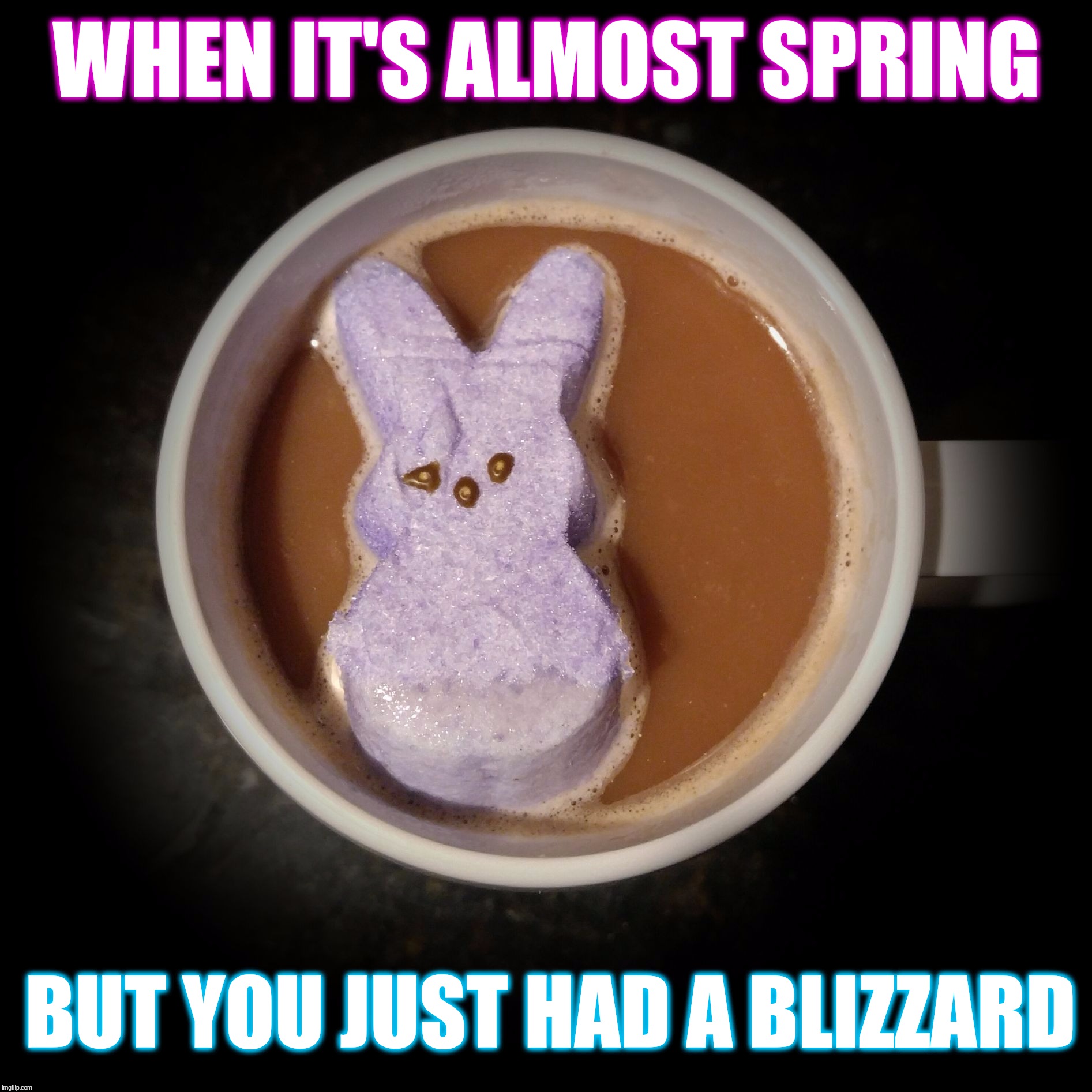Spring Hot Cocoa  | WHEN IT'S ALMOST SPRING; BUT YOU JUST HAD A BLIZZARD | image tagged in spring hot cocoa,blizzard,funny,memes,peeps,marshmallow | made w/ Imgflip meme maker