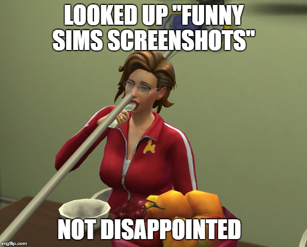 LOOKED UP "FUNNY SIMS SCREENSHOTS" NOT DISAPPOINTED | made w/ Imgflip meme maker