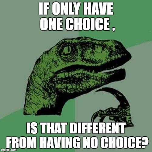 Philosoraptor Meme | IF ONLY HAVE ONE CHOICE , IS THAT DIFFERENT FROM HAVING NO CHOICE? | image tagged in memes,philosoraptor,funny,lol,spicy,school | made w/ Imgflip meme maker