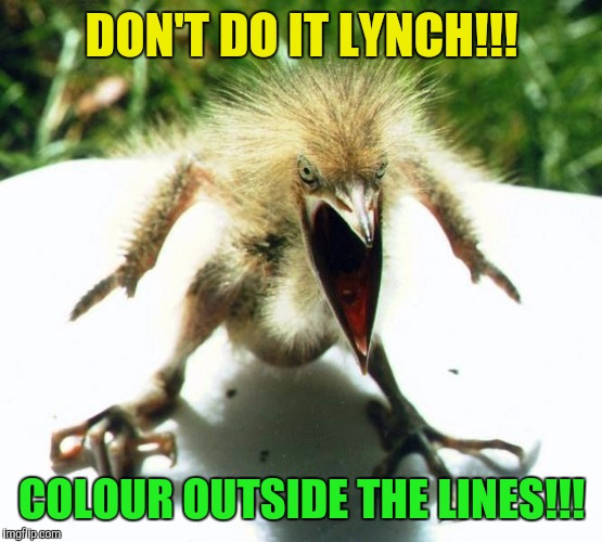 Angry bird | DON'T DO IT LYNCH!!! COLOUR OUTSIDE THE LINES!!! | image tagged in angry bird | made w/ Imgflip meme maker