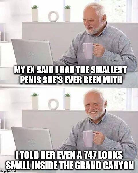 Hide The Pain Harold Gets The Last Laugh During Ex's Week | MY EX SAID I HAD THE SMALLEST PENIS SHE'S EVER BEEN WITH; I TOLD HER EVEN A 747 LOOKS SMALL INSIDE THE GRAND CANYON | image tagged in memes,hide the pain harold,ex's week,ex girlfriend,ex boyfriend | made w/ Imgflip meme maker