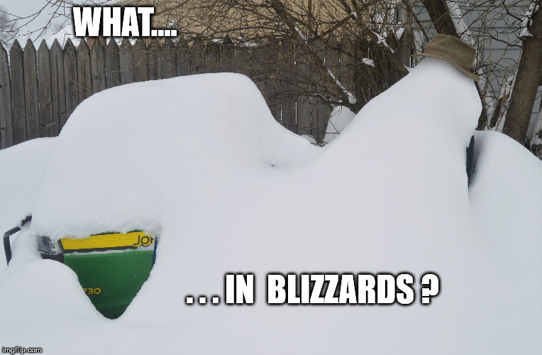 WHAT.... . . . IN  BLIZZARDS ? | image tagged in what in blizzards | made w/ Imgflip meme maker