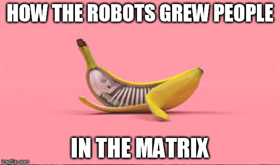 HOW THE ROBOTS GREW PEOPLE IN THE MATRIX | made w/ Imgflip meme maker