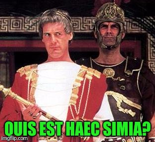 Month Python Meme. Latin Insults | QUIS EST HAEC SIMIA? | image tagged in monty python week | made w/ Imgflip meme maker
