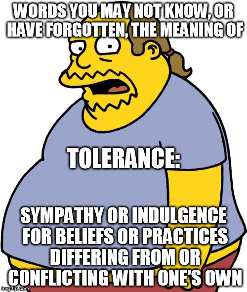 Comic Book Guy | WORDS YOU MAY NOT KNOW, OR HAVE FORGOTTEN, THE MEANING OF; TOLERANCE:; SYMPATHY OR INDULGENCE FOR BELIEFS OR PRACTICES DIFFERING FROM OR CONFLICTING WITH ONE'S OWN | image tagged in memes,comic book guy | made w/ Imgflip meme maker