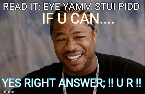 Yo Dawg Heard You | IF U CAN.... READ IT: EYE YAMM STUI PIDD; YES RIGHT ANSWER; !! U R !! | image tagged in memes,yo dawg heard you | made w/ Imgflip meme maker