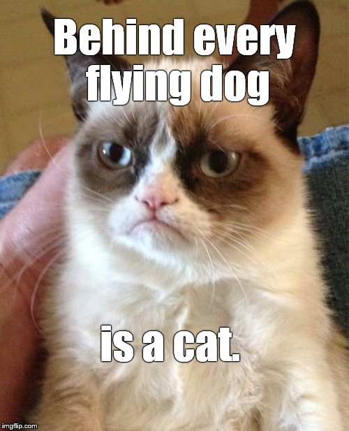 Grumpy Cat Meme | Behind every flying dog is a cat. | image tagged in memes,grumpy cat | made w/ Imgflip meme maker