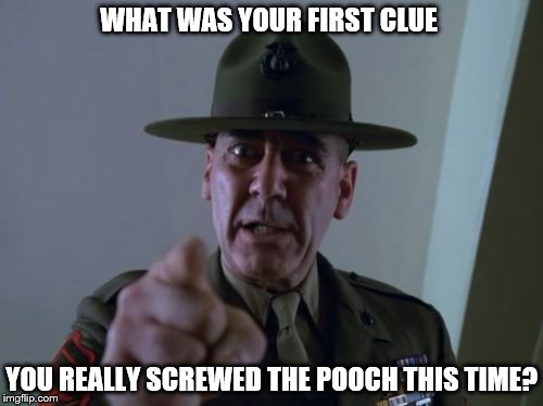 Sergeant Hartmann Meme | WHAT WAS YOUR FIRST CLUE; YOU REALLY SCREWED THE POOCH THIS TIME? | image tagged in memes,sergeant hartmann | made w/ Imgflip meme maker