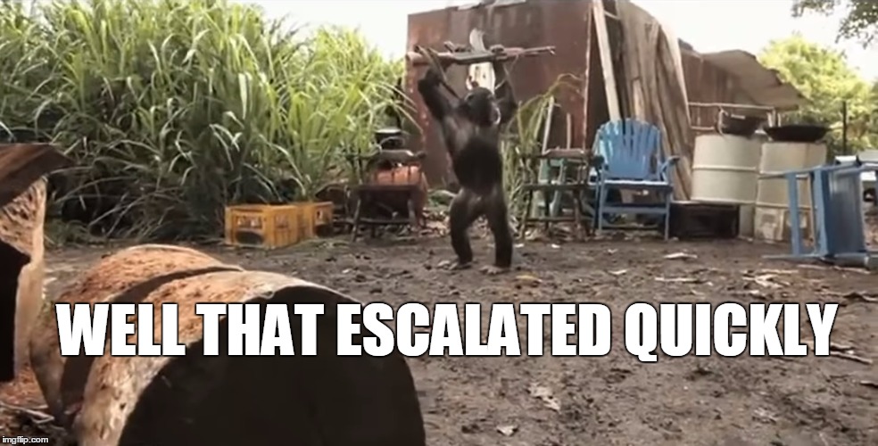 Harambe jr. | WELL THAT ESCALATED QUICKLY | image tagged in harambe jr | made w/ Imgflip meme maker