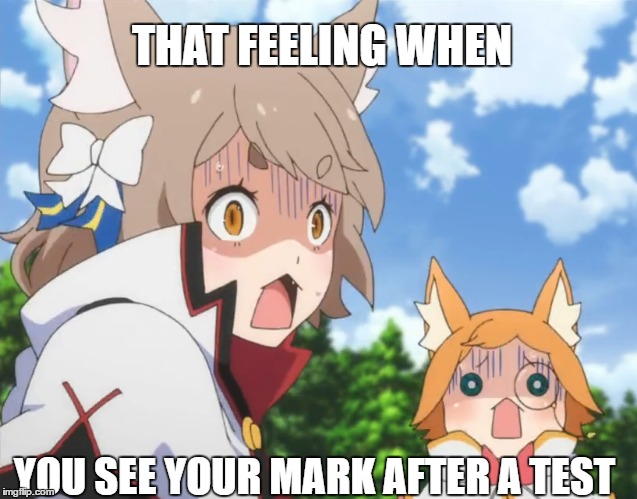 That feeling when... | THAT FEELING WHEN; YOU SEE YOUR MARK AFTER A TEST | image tagged in rezero,feris,school,that feeling when | made w/ Imgflip meme maker