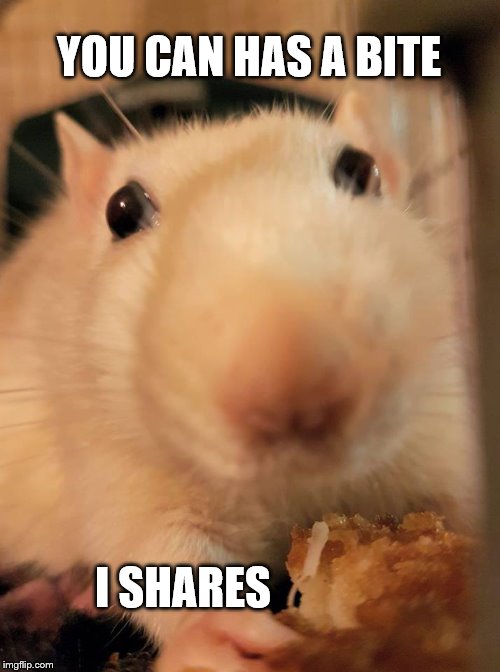 Sharing | YOU CAN HAS A BITE; I SHARES | image tagged in sharing | made w/ Imgflip meme maker