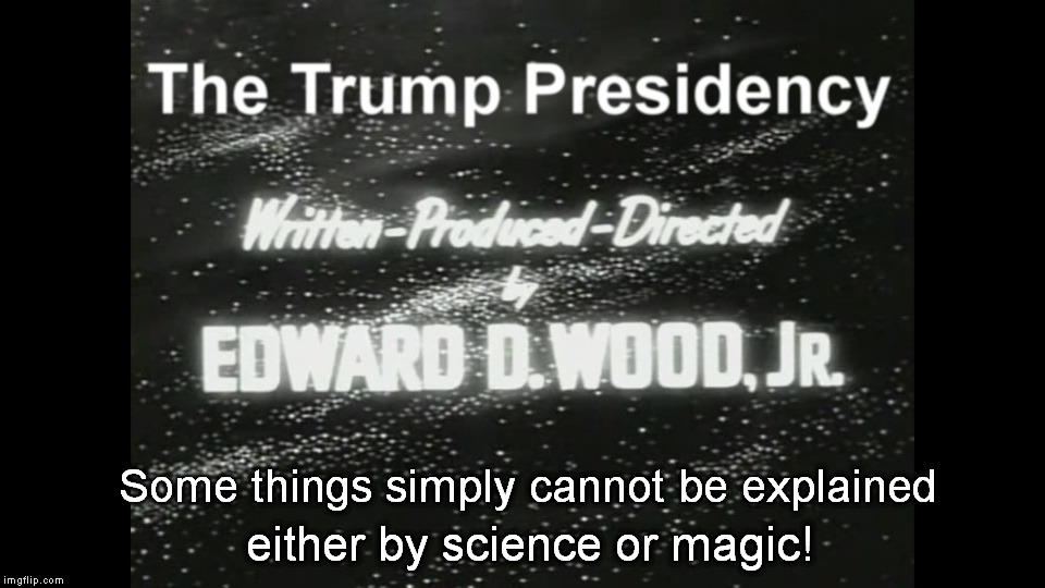 There's an Explanation For Everything ... Well, Almost Everything | Some things simply cannot be explained; either by science or magic! | image tagged in trump,wood | made w/ Imgflip meme maker