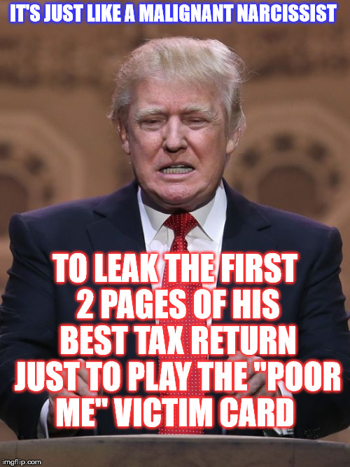 Oh, Poor Pathetic Pooch of a President.
 | IT'S JUST LIKE A MALIGNANT NARCISSIST; TO LEAK THE FIRST 2 PAGES OF HIS BEST TAX RETURN JUST TO PLAY THE "POOR ME" VICTIM CARD | image tagged in donald trump,tax return | made w/ Imgflip meme maker