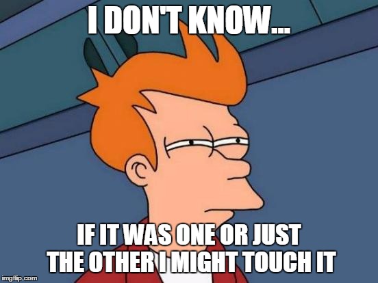 Futurama Fry Meme | I DON'T KNOW... IF IT WAS ONE OR JUST THE OTHER I MIGHT TOUCH IT | image tagged in memes,futurama fry | made w/ Imgflip meme maker