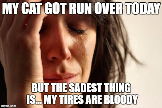 First World Problems Meme | MY CAT GOT RUN OVER TODAY; BUT THE SADEST THING IS... MY TIRES ARE BLOODY | image tagged in memes,first world problems | made w/ Imgflip meme maker