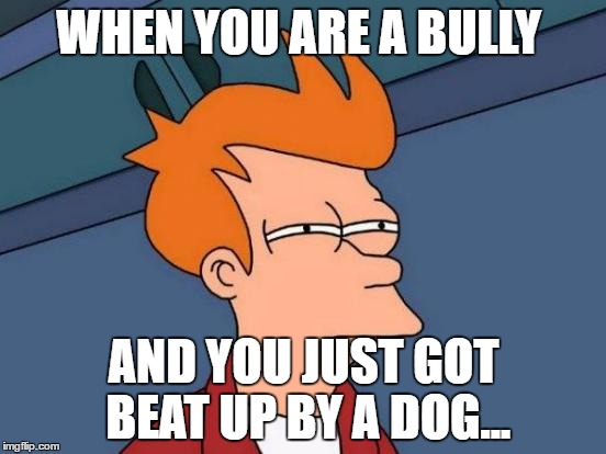 Futurama Fry Meme | WHEN YOU ARE A BULLY; AND YOU JUST GOT BEAT UP BY A DOG... | image tagged in memes,futurama fry | made w/ Imgflip meme maker