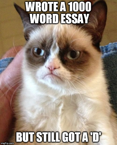 Grumpy Cat | WROTE A 1000 WORD ESSAY; BUT STILL GOT A 'D' | image tagged in memes,grumpy cat | made w/ Imgflip meme maker
