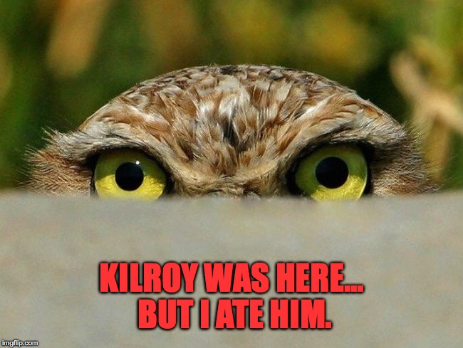 Kilroy Was Here | KILROY WAS HERE... BUT I ATE HIM. | image tagged in good with s/s sauce - | made w/ Imgflip meme maker