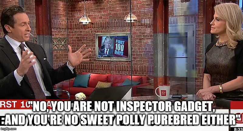 inspector gadget | "NO, YOU ARE NOT INSPECTOR GADGET, AND YOU'RE NO SWEET POLLY PUREBRED EITHER" | image tagged in trump,kellyanne conway | made w/ Imgflip meme maker