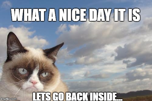 Grumpy Cat Sky Meme | WHAT A NICE DAY IT IS; LETS GO BACK INSIDE... | image tagged in memes,grumpy cat sky,grumpy cat | made w/ Imgflip meme maker