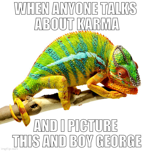 Let karma decide | WHEN ANYONE TALKS ABOUT KARMA; AND I PICTURE THIS AND BOY GEORGE | image tagged in let karma decide | made w/ Imgflip meme maker