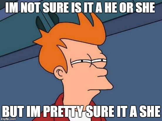 Futurama Fry | IM NOT SURE IS IT A HE OR SHE; BUT IM PRETTY SURE IT A SHE | image tagged in memes,futurama fry | made w/ Imgflip meme maker