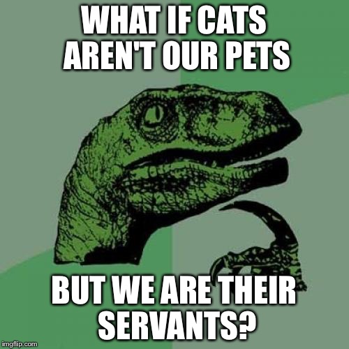 Philosoraptor | WHAT IF CATS AREN'T OUR PETS; BUT WE ARE THEIR SERVANTS? | image tagged in memes,philosoraptor | made w/ Imgflip meme maker